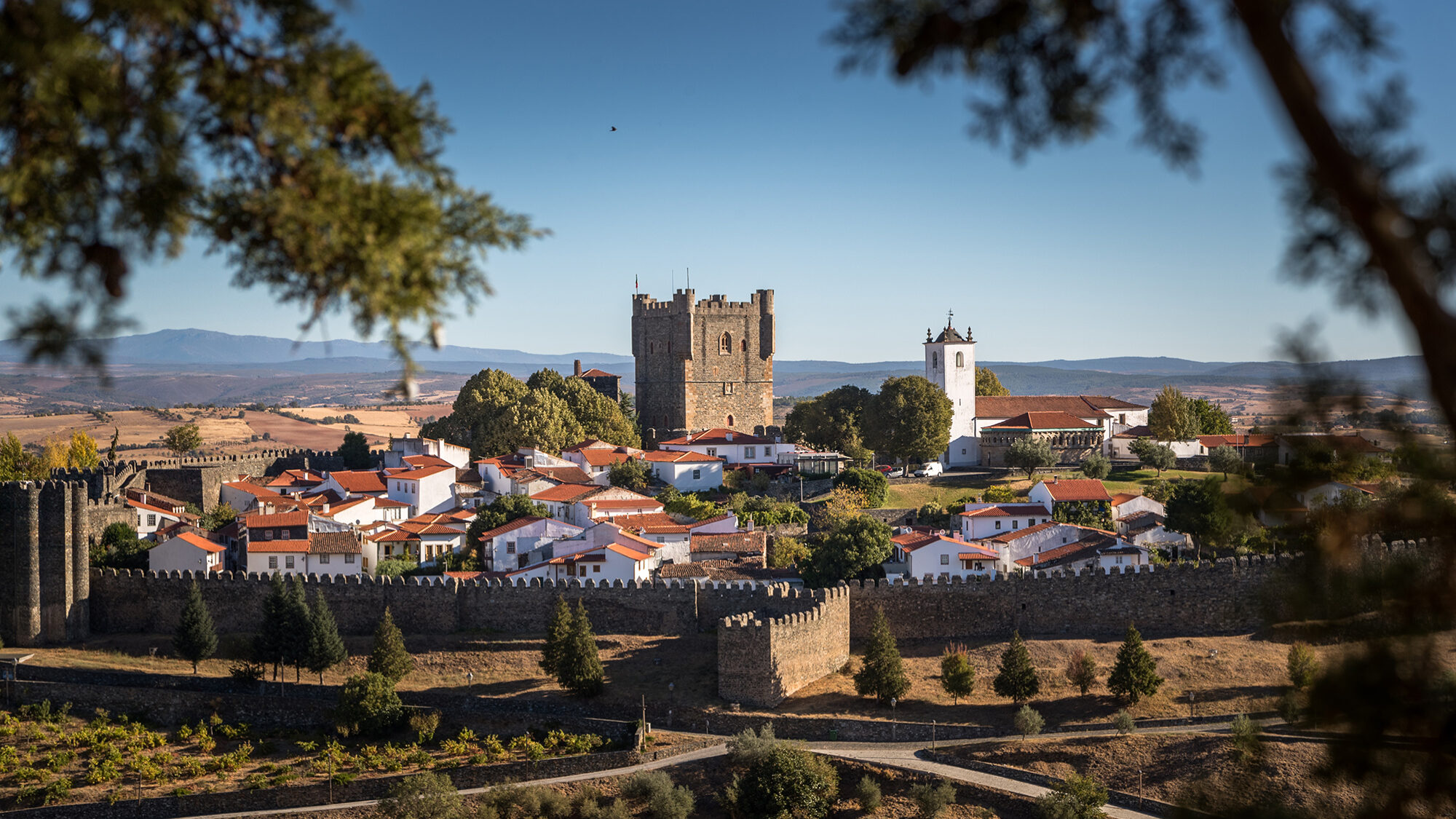 Eclipse leva sete mil pessoas a Bragança