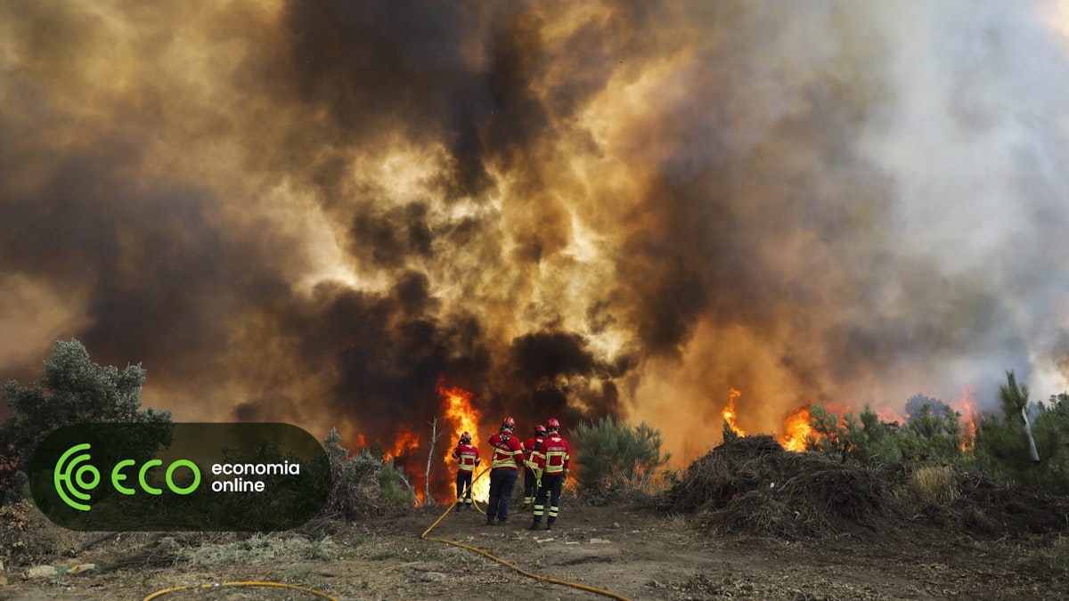 Onda de calor na Europa provoca prejuízos económicos recorde