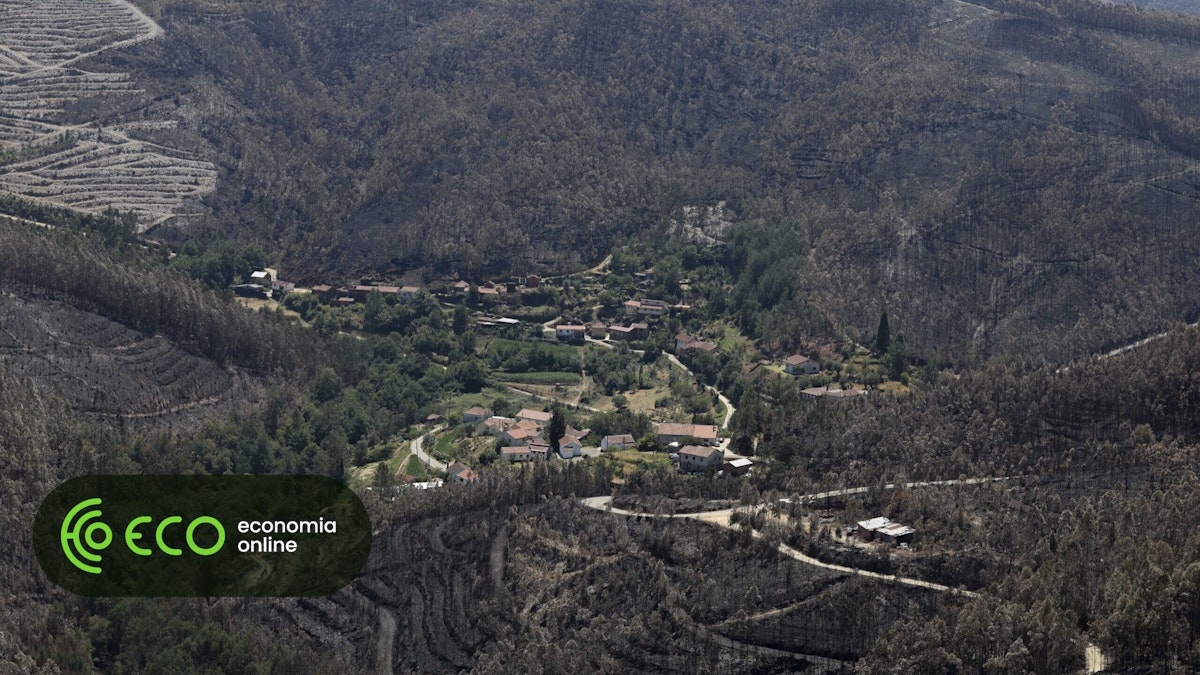 Cerca de 20 concelhos em perigo máximo de incêndio