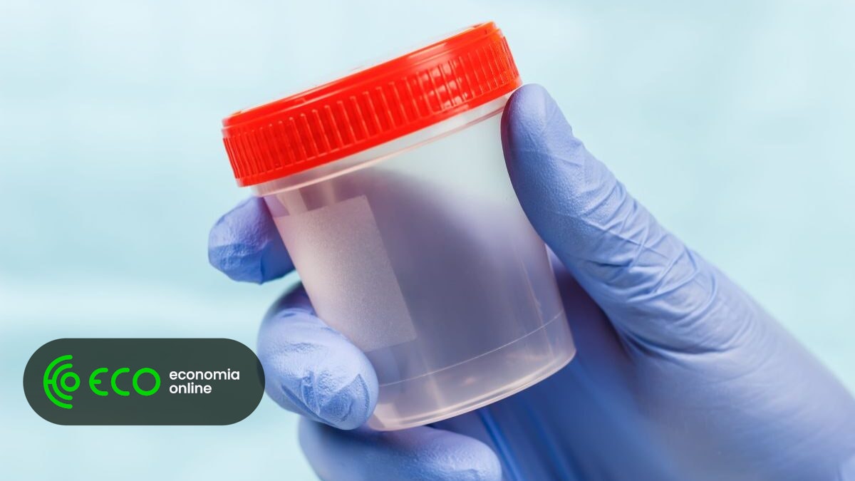 Projeto estuda diagnóstico precoce da doença renal crónica