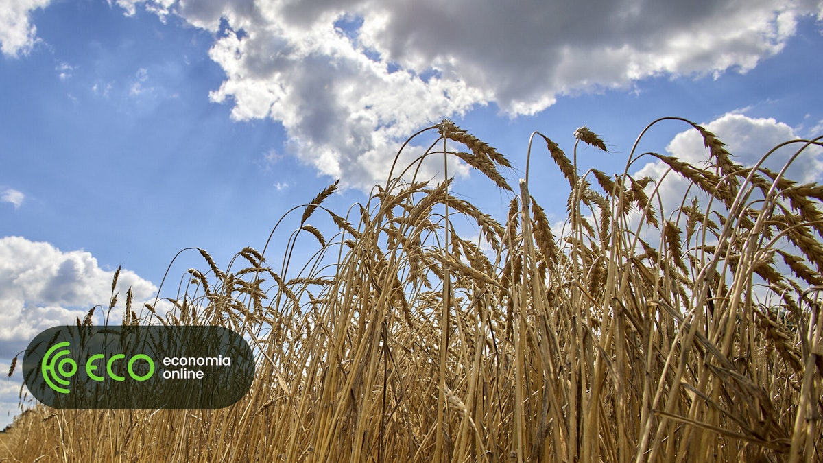 FAO alerta para nova subida de preços alimentares